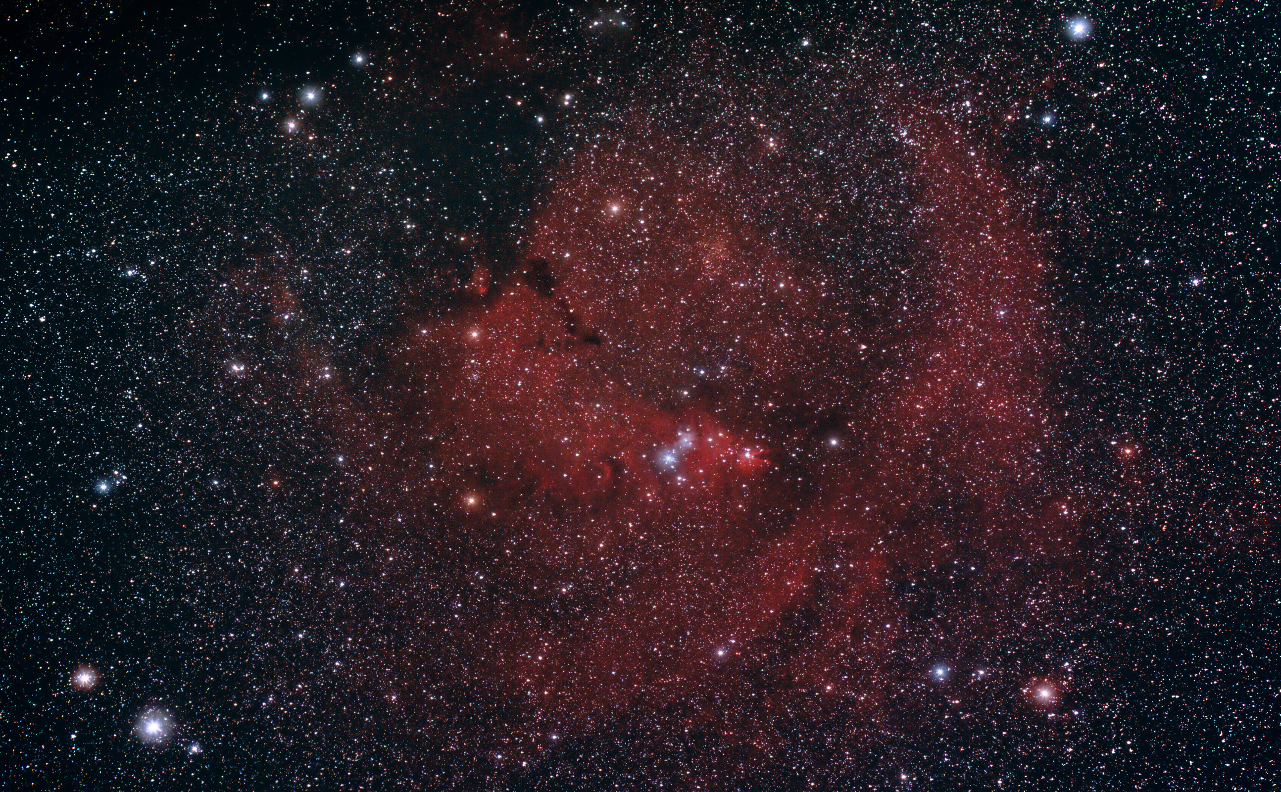 Cone Nebula Widefield