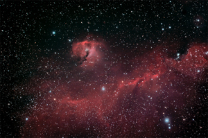 Seagull-Nebula