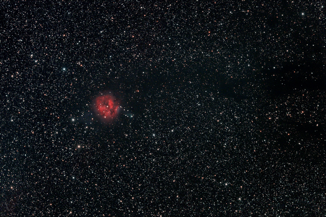 IC5146 Widefield