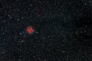 IC5146 Widefield