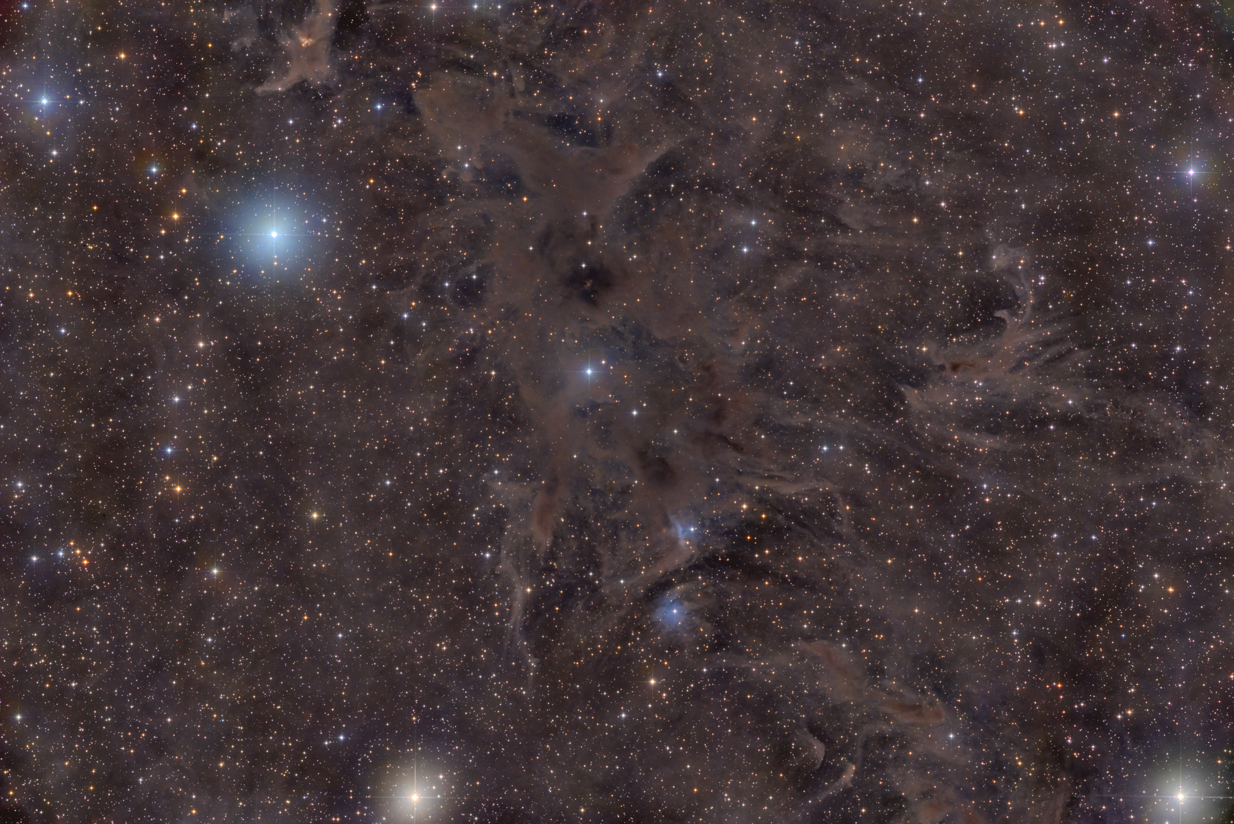 LDN-1228 in Cepheus