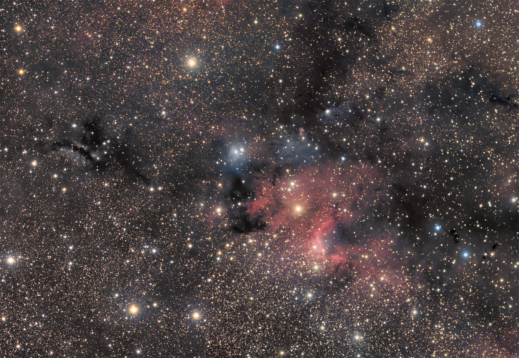 LDN1212 + Sh2-155 Cave Nebula