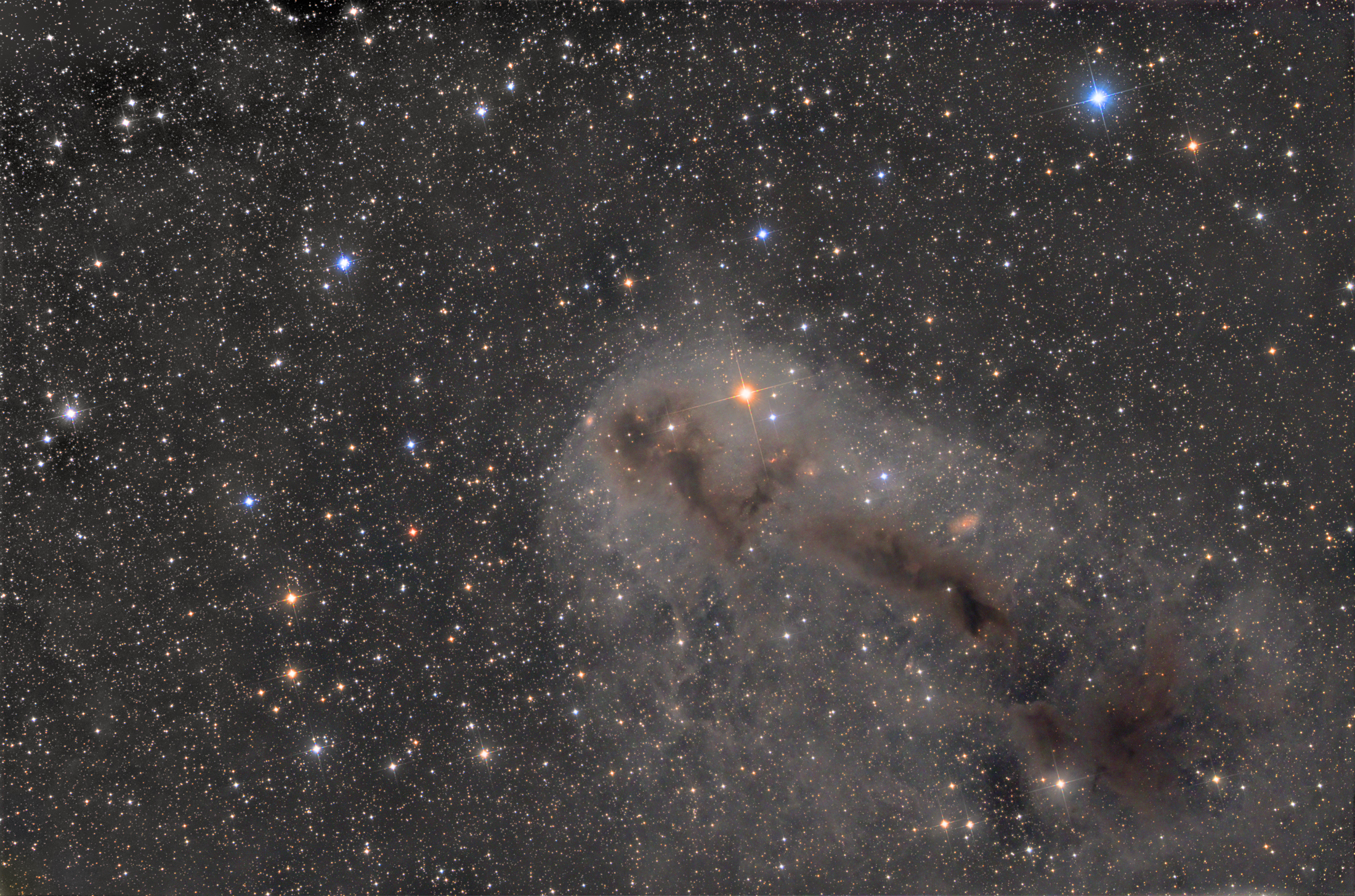 LDN1251 in Constellation Cepheus