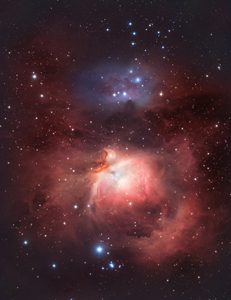 M42 / NGC1977