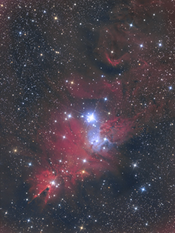 NGC2264