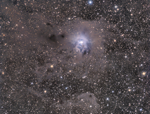 NGC7023  in Constellation Cepheus