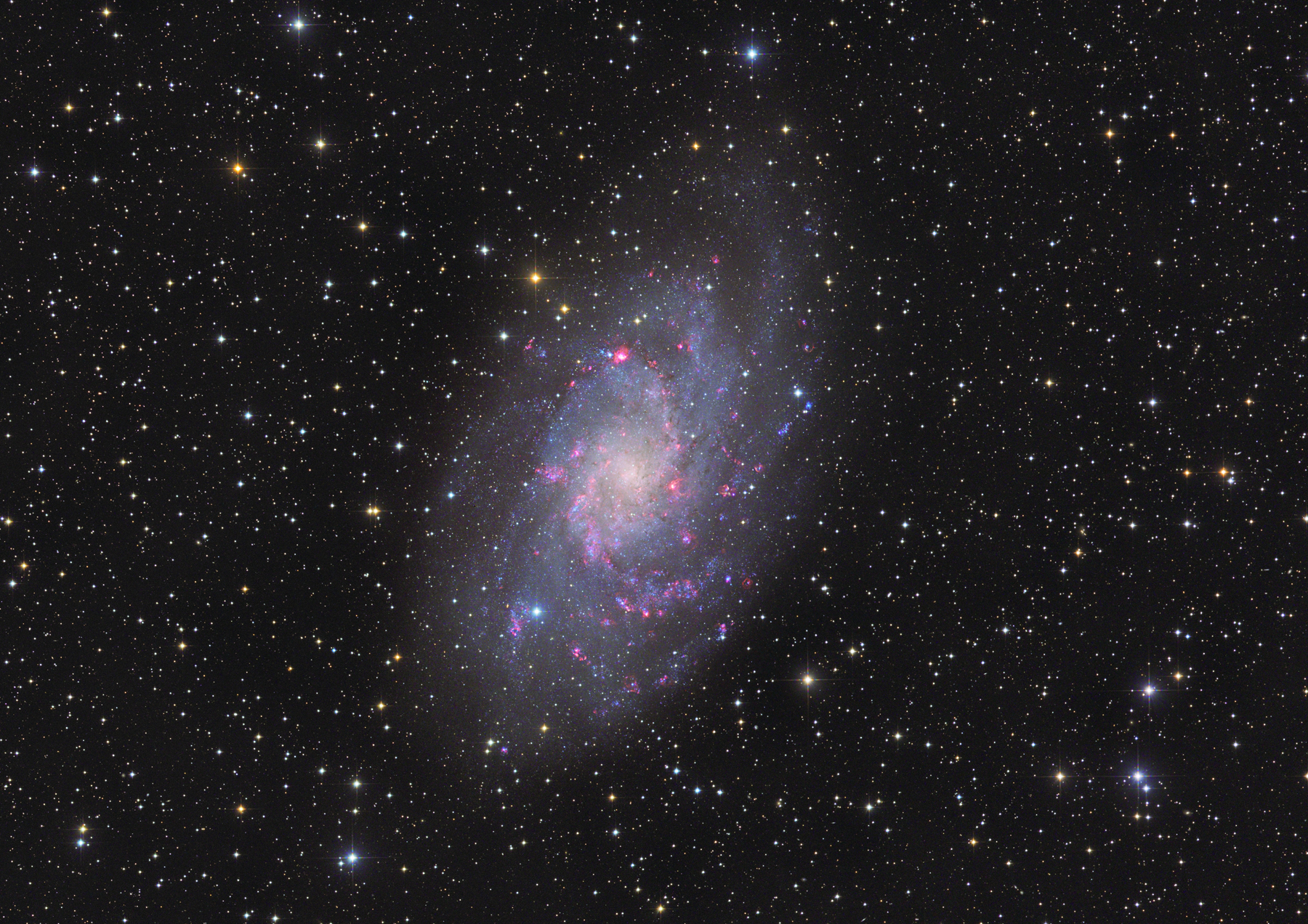 M33