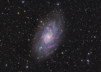 M33