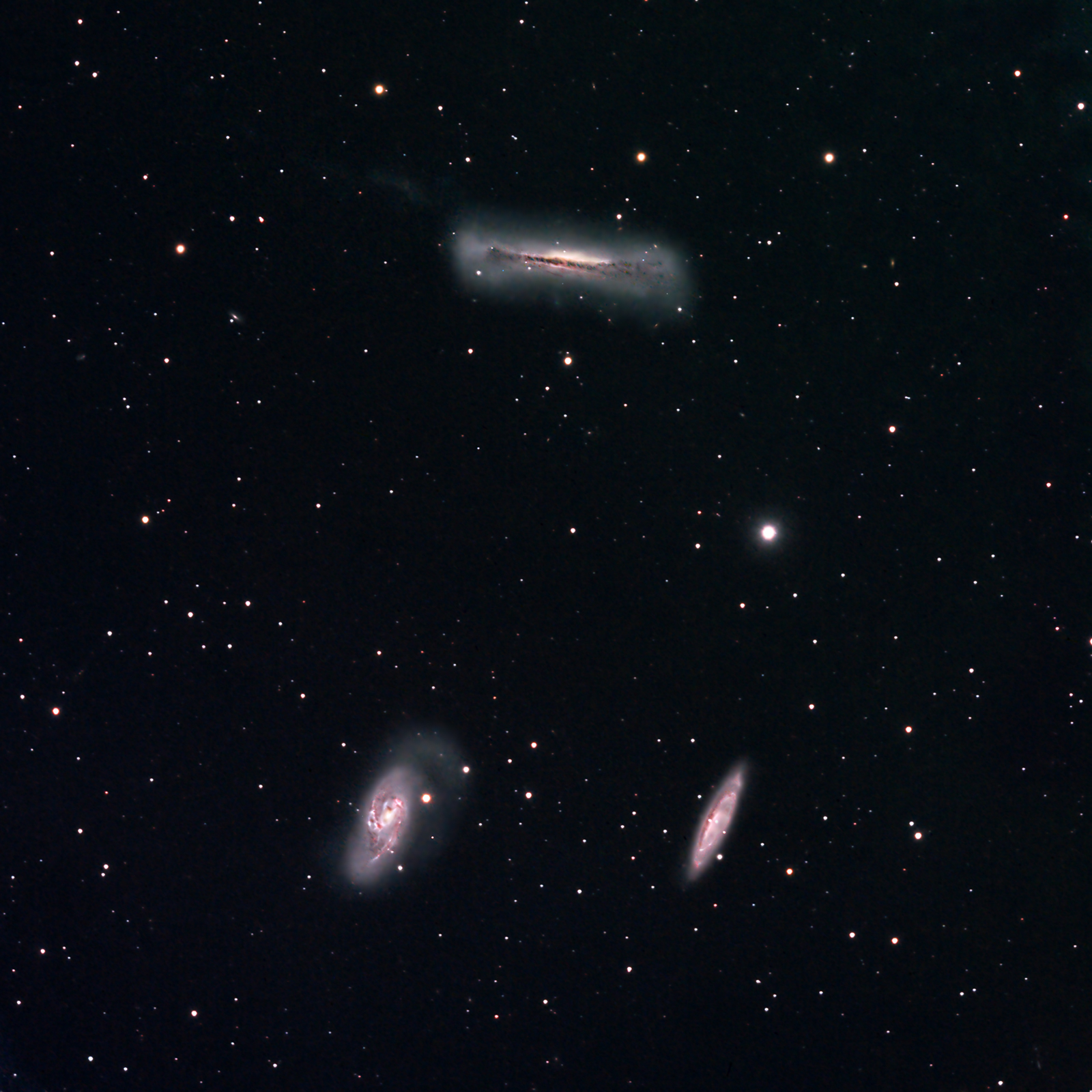 M65 M66 NGC3628 Large