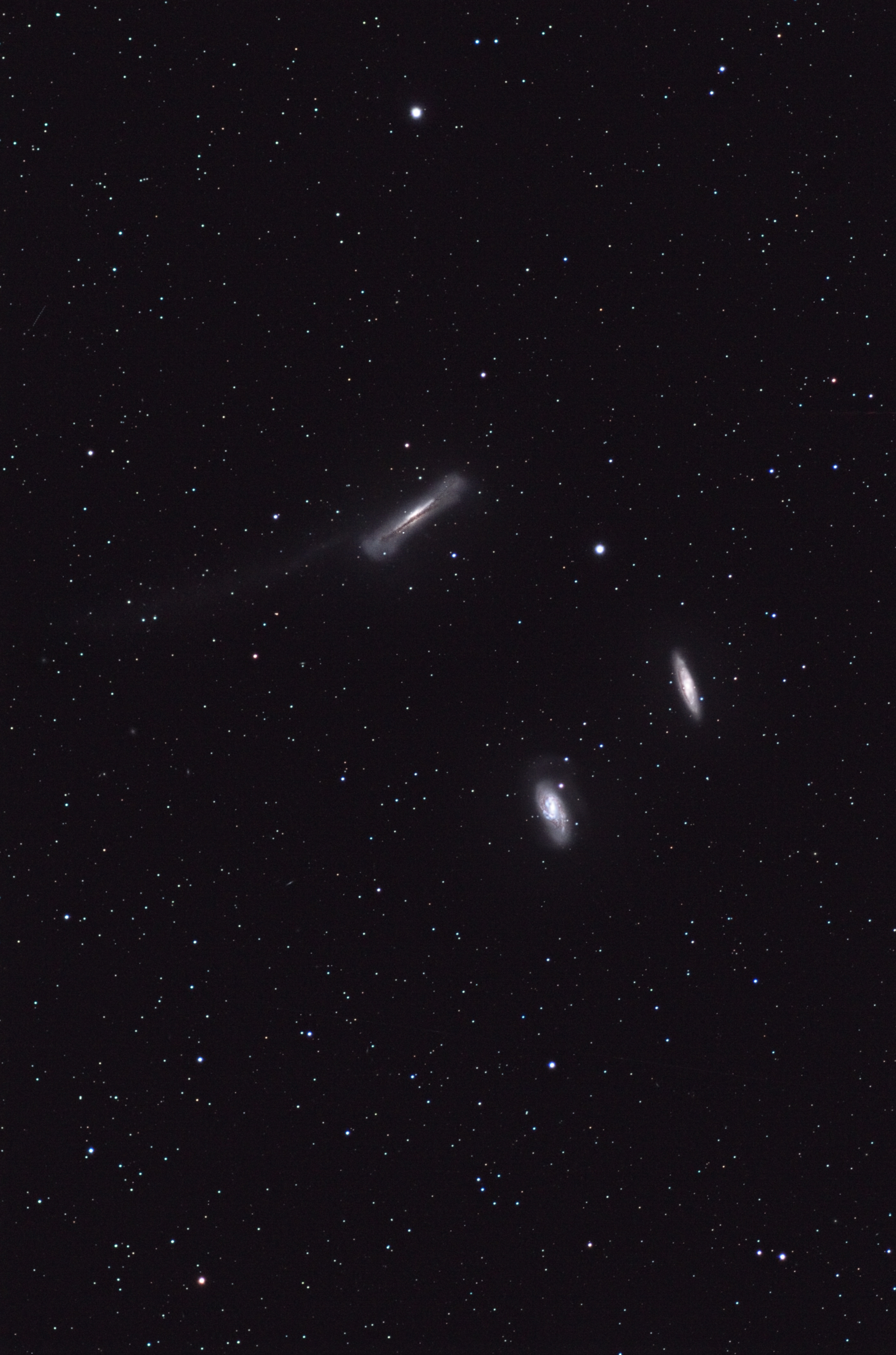M65 M66 NGC3628 Medium