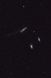 M65 M66 NGC3628 Hercynia
