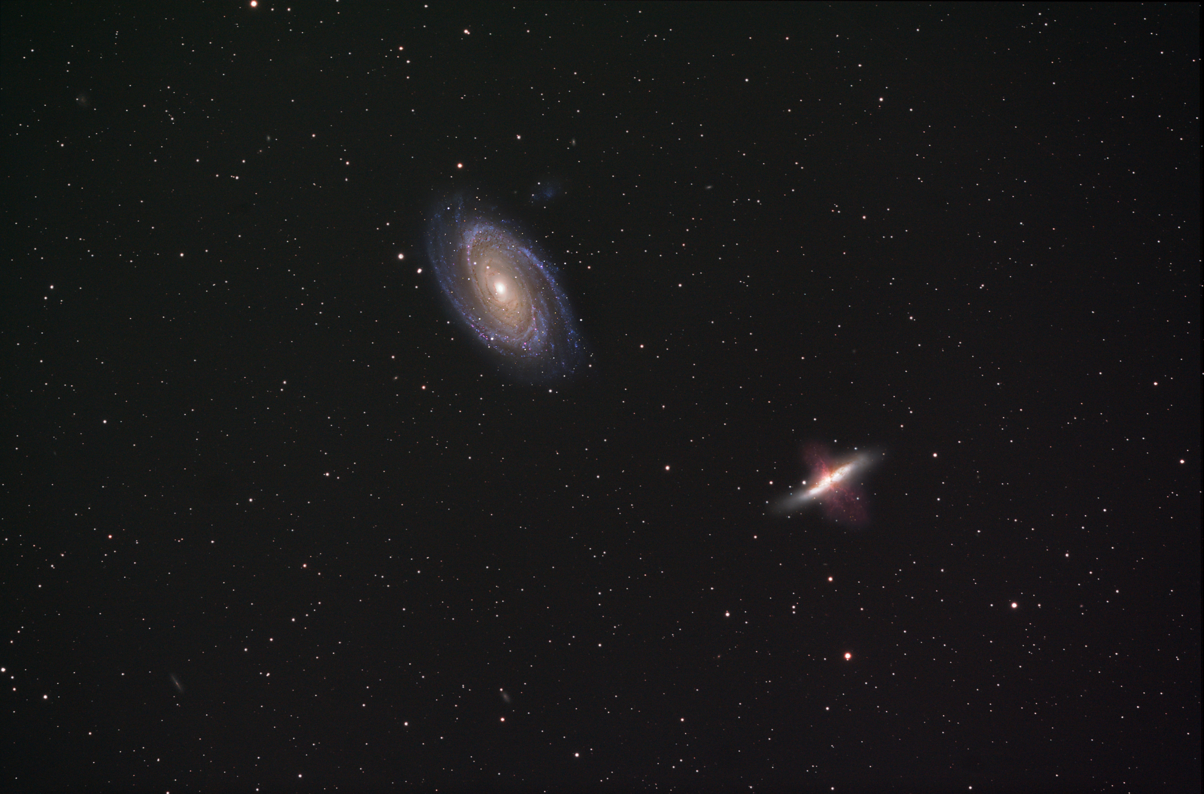 M81 M82 Widefield