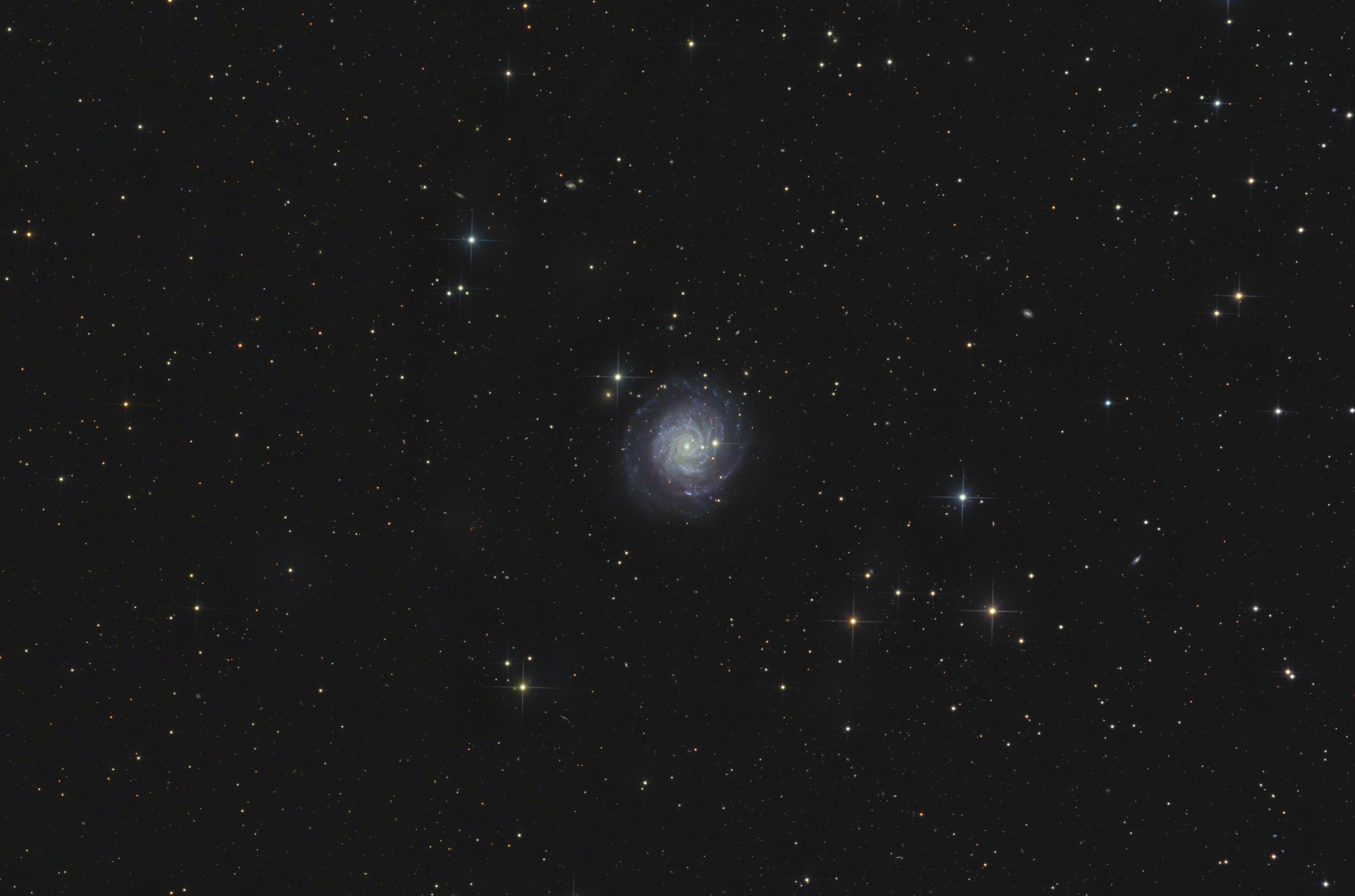 NGC3344