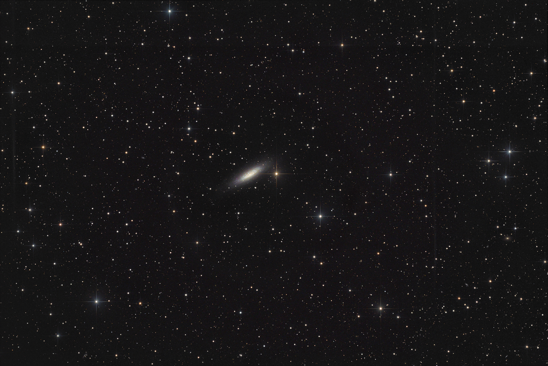 NGC6503