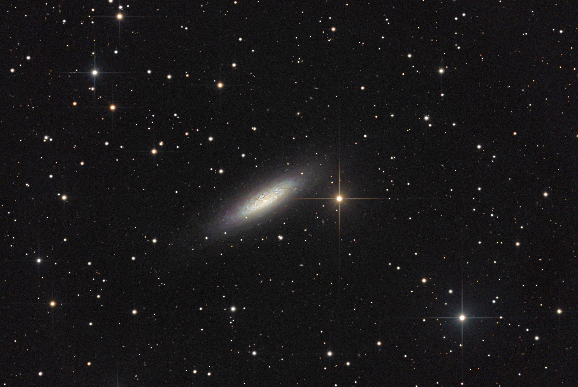 NGC6503