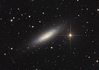 NGC6503