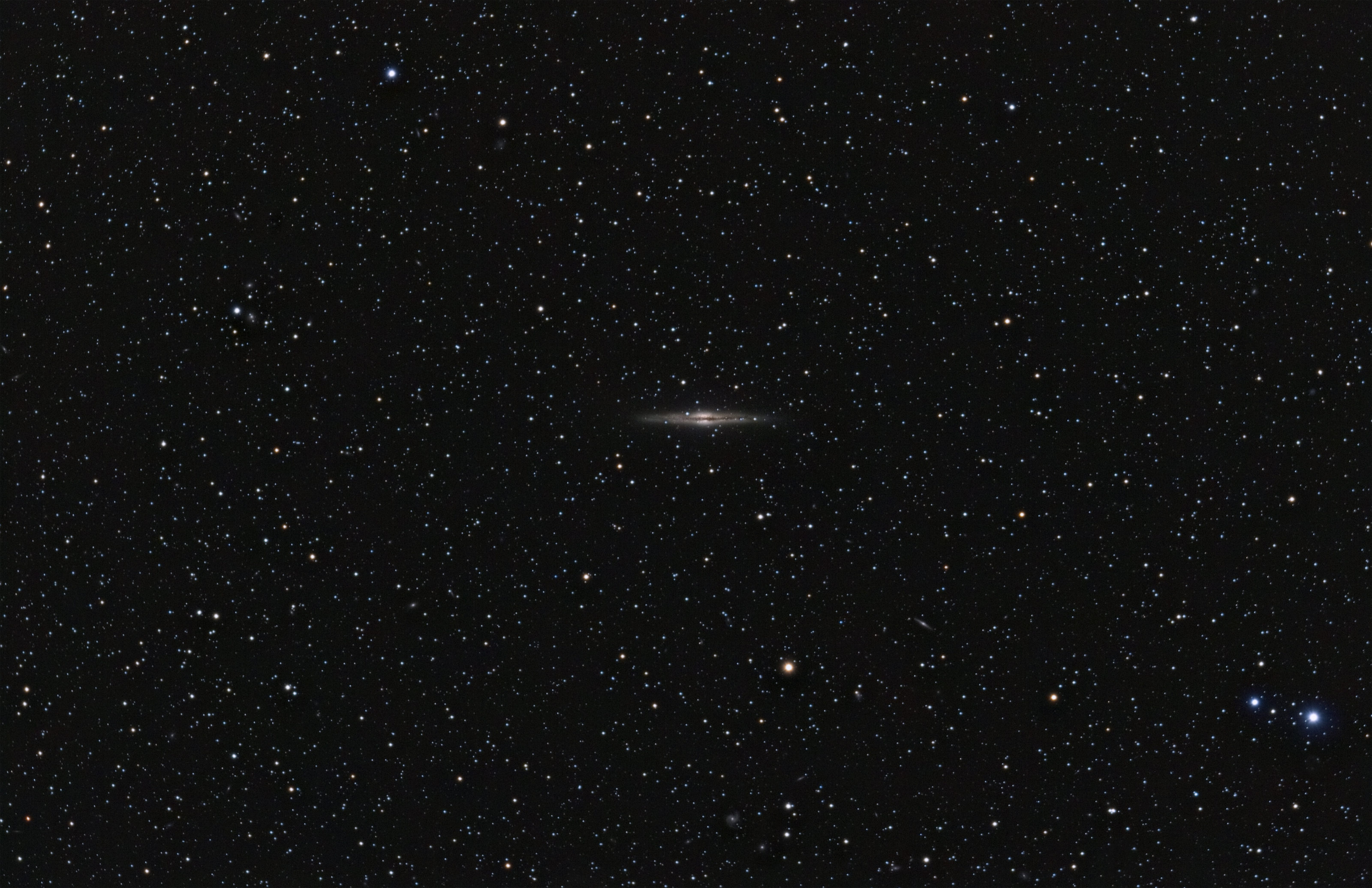 NGC891 Widefield