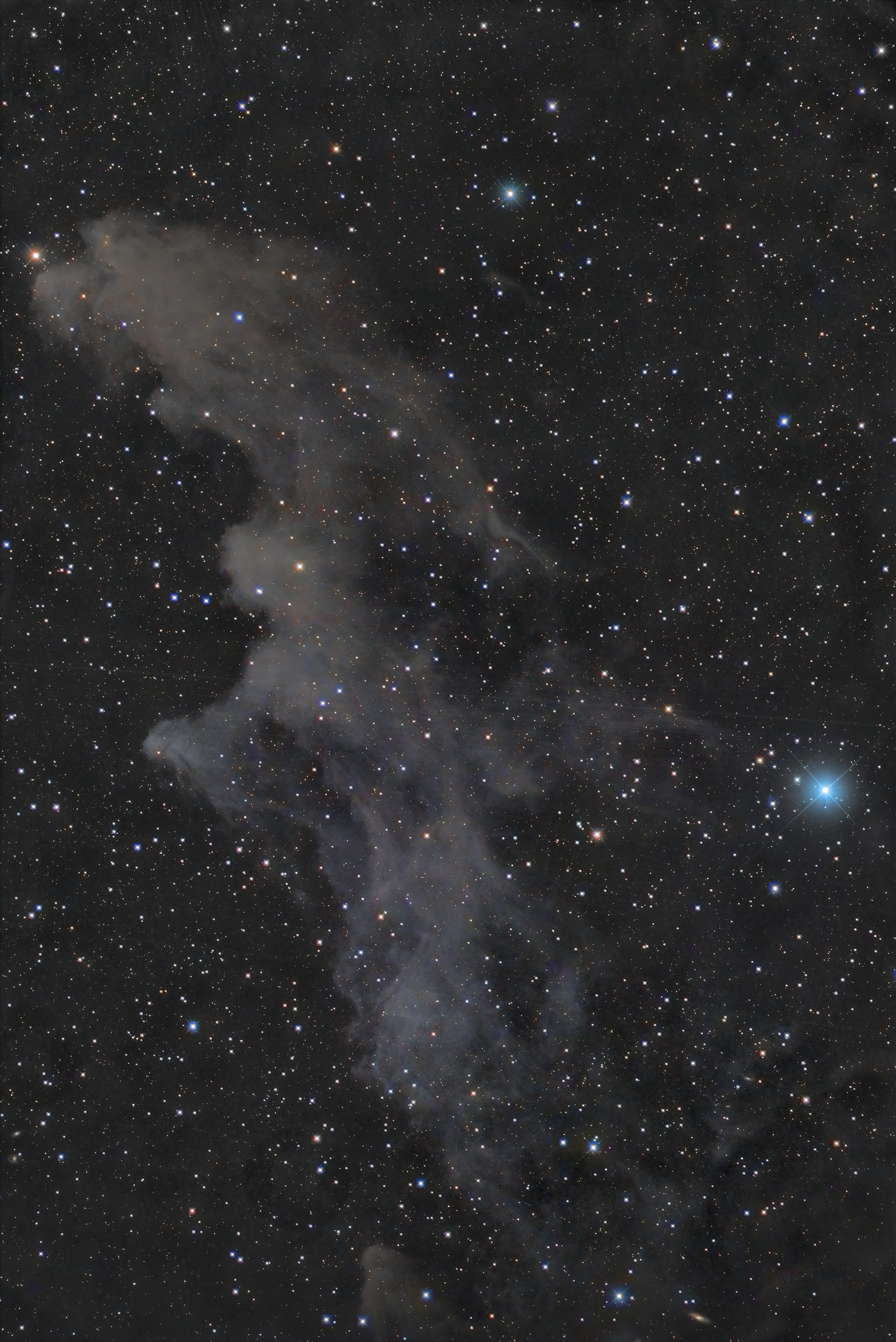 IC2118 in Constellation Eridanus