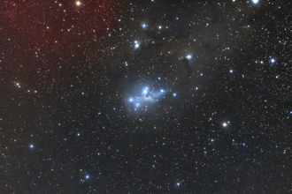IC2169