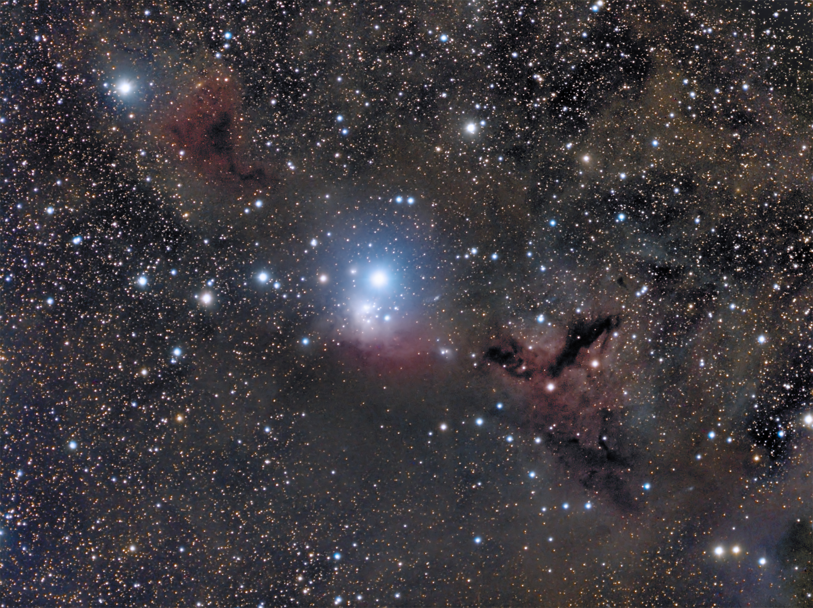 IC348 in Perseus
