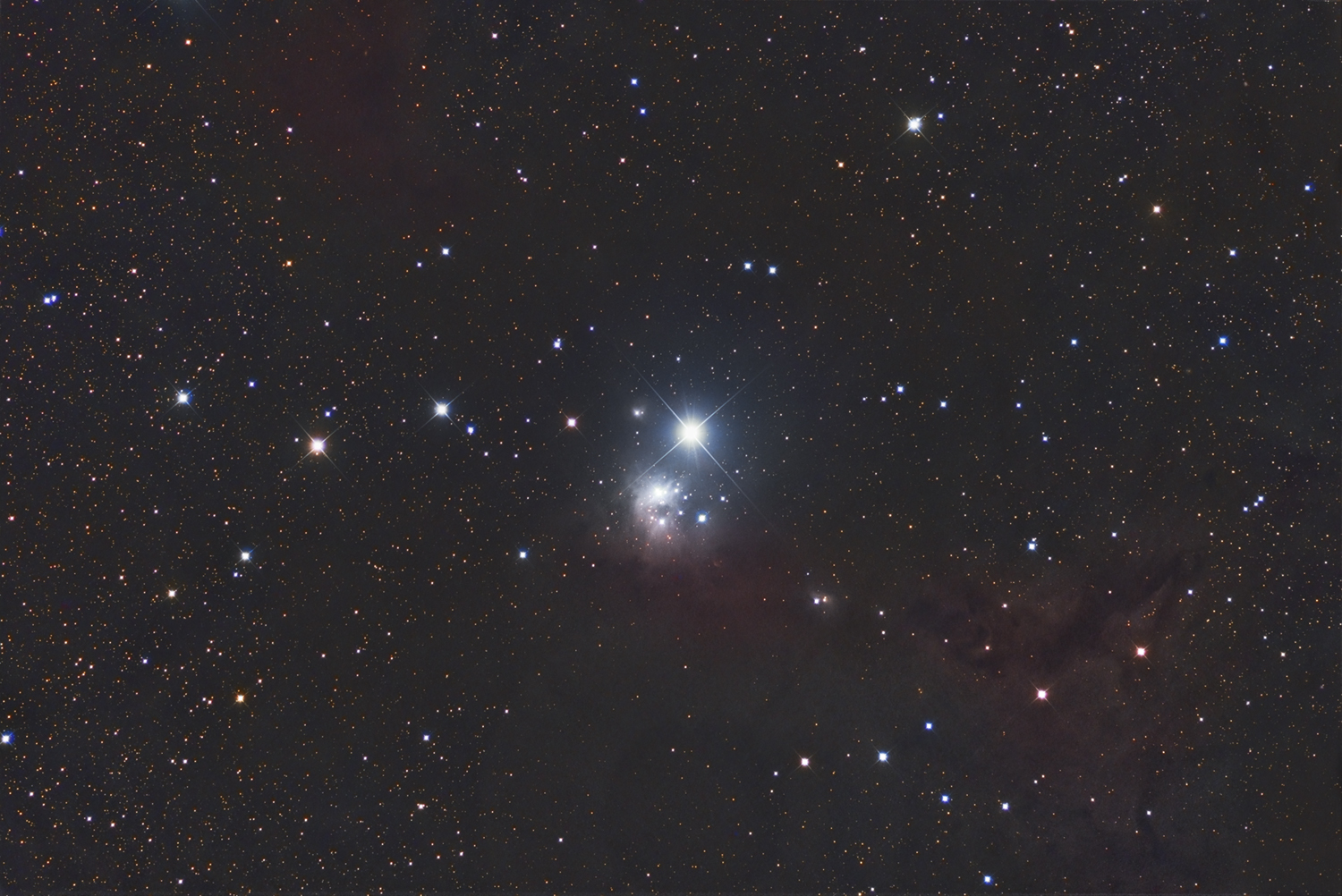 IC348 in Perseus