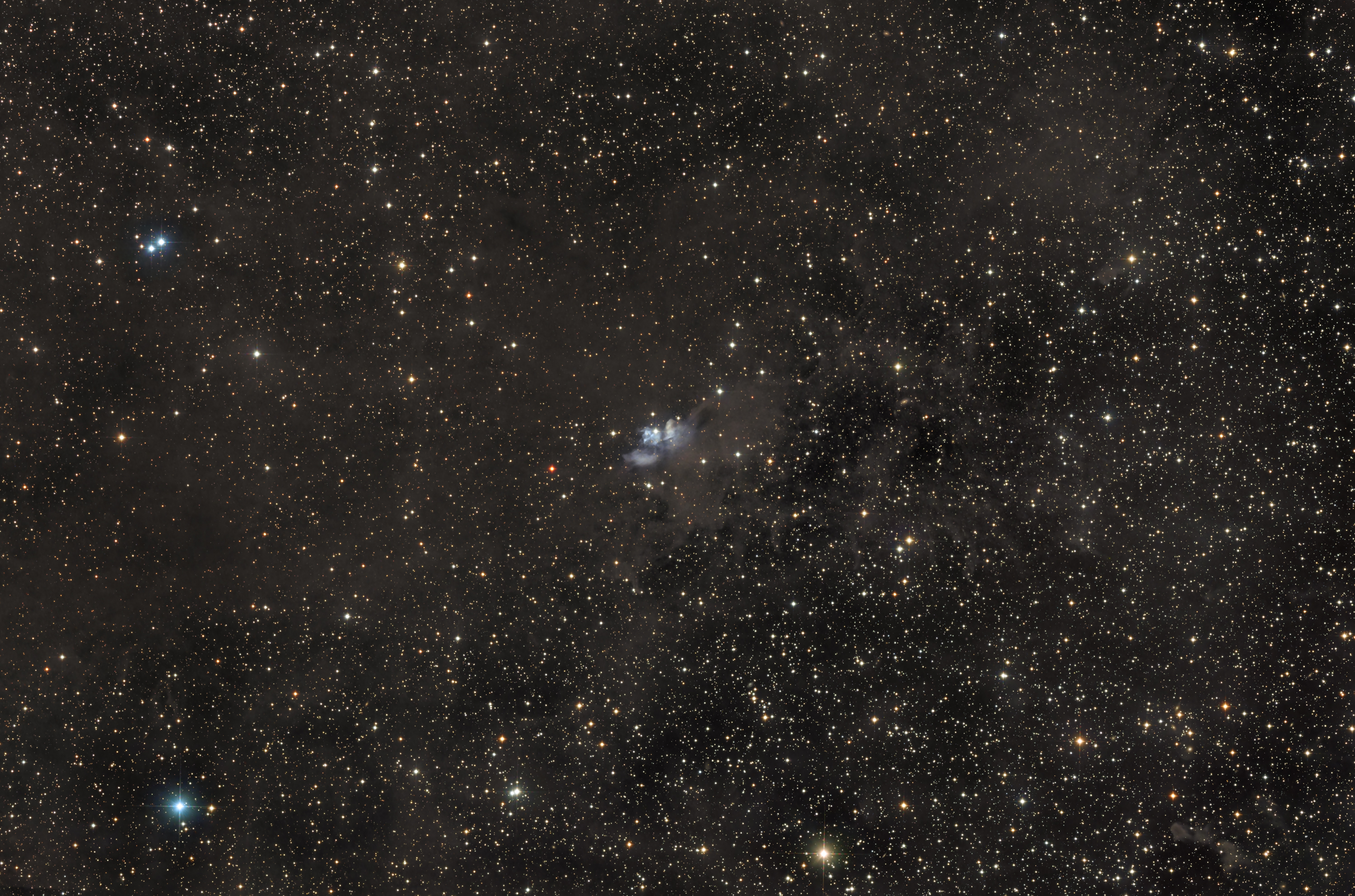 vdB24 in Perseus